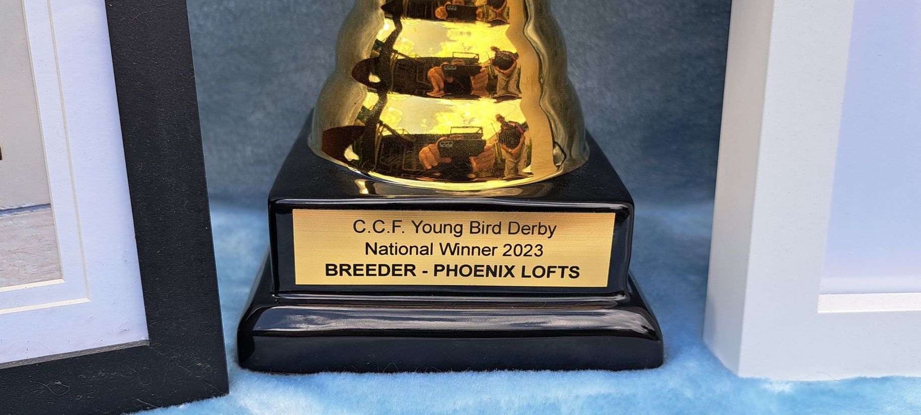 CCF Young Bird Derby National Winner 2023